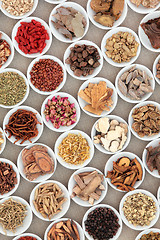 Image showing Chinese Herb Ingredients