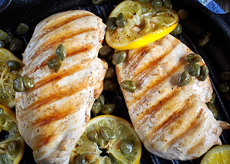 Image showing grilled chicken breasts