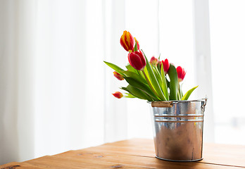 Image showing close up of tulip flowers