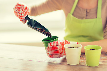 Image showing close up of woman hands with trowel sowing seeds