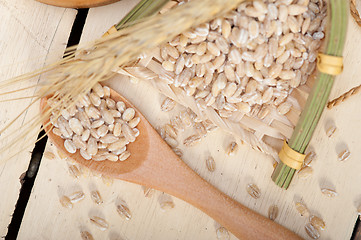 Image showing organic barley grains