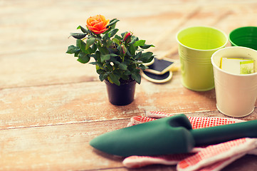 Image showing close up of rose flower and garden tools on table