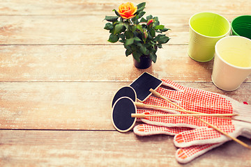 Image showing close up of rose flower and garden tools on table