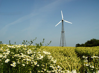 Image showing windmill