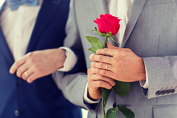 Image showing close up of happy male gay couple holding hands