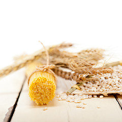 Image showing organic Raw italian pasta and durum wheat 