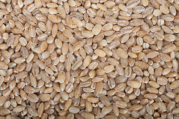 Image showing organic wheat grains 