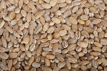 Image showing organic wheat grains 