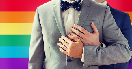 Image showing close up of male gay couple with wedding rings on