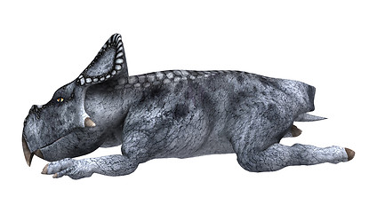 Image showing Dinosaur Protoceratops on White