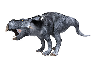 Image showing Dinosaur Protoceratops on White