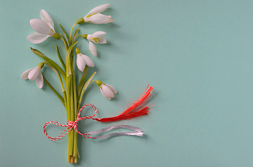 Image showing Macro snowdrops bucket 