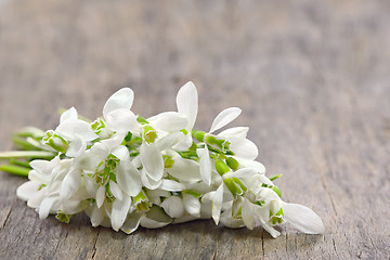 Image showing Snowdrops bucket on wooden background