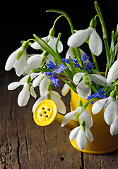 Image showing Snowdrops in a decorative bucket 