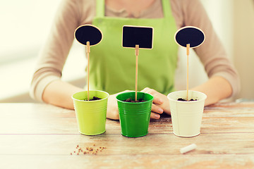 Image showing close up of woman over pots with soil and signs