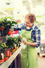 Image showing happy woman touching mandarin tree in greenhouse