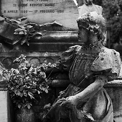 Image showing Old Cemetery statue