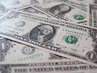 Image showing Dollar notes 1 Dollar