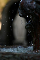 Image showing Water Drops