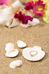 Image showing Wedding ring in a shell