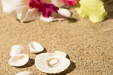 Image showing Wedding ring in a shell