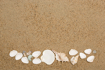 Image showing Sea shells on sand. Summer beach background. 