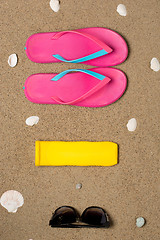 Image showing Sea shells on sand. Summer beach background. 