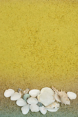 Image showing Sea shells on sand. Summer beach background. 