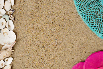 Image showing Sea shells on sand. Summer beach background. 