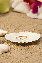 Image showing Wedding ring in a shell