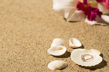 Image showing Wedding ring in a shell