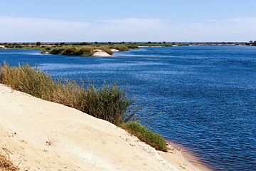 Image showing bank of the river zambezi