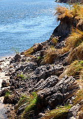 Image showing bank of the river zambezi