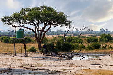 Image showing Large Acacia tree in artificial waterhole