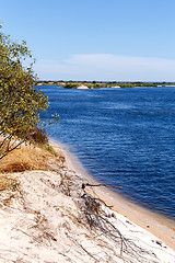 Image showing bank of the river zambezi