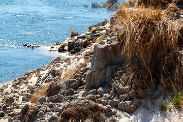 Image showing bank of the river zambezi