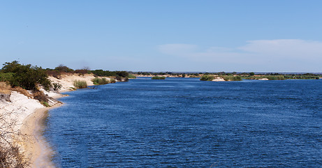 Image showing bank of the river zambezi