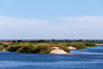 Image showing bank of the river zambezi