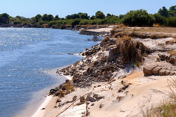 Image showing bank of the river zambezi