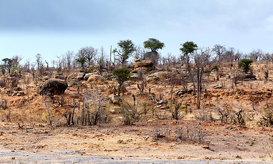 Image showing hwankee national park landscape