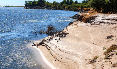 Image showing bank of the river zambezi
