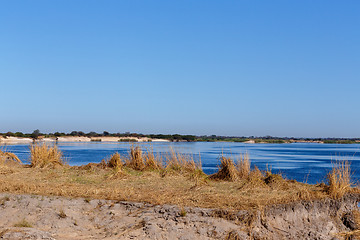 Image showing bank of the river zambezi