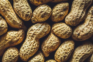 Image showing Fresh peanuts in shell