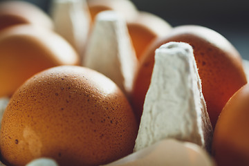 Image showing Chicken eggs in egg tray