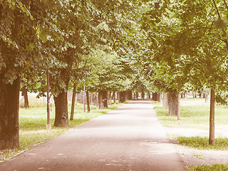 Image showing Dalla Chiesa park in Collegno vintage