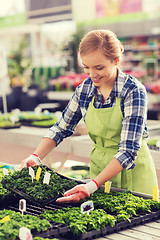 Image showing happy woman taking care of seedling in greenhouse