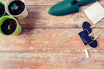 Image showing close up of seedlings, trowel and nameplates