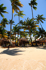 Image showing Tropical beach