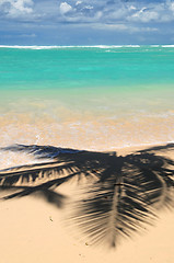 Image showing Tropical beach