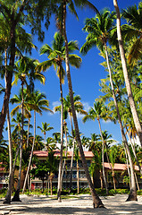 Image showing Tropical resort